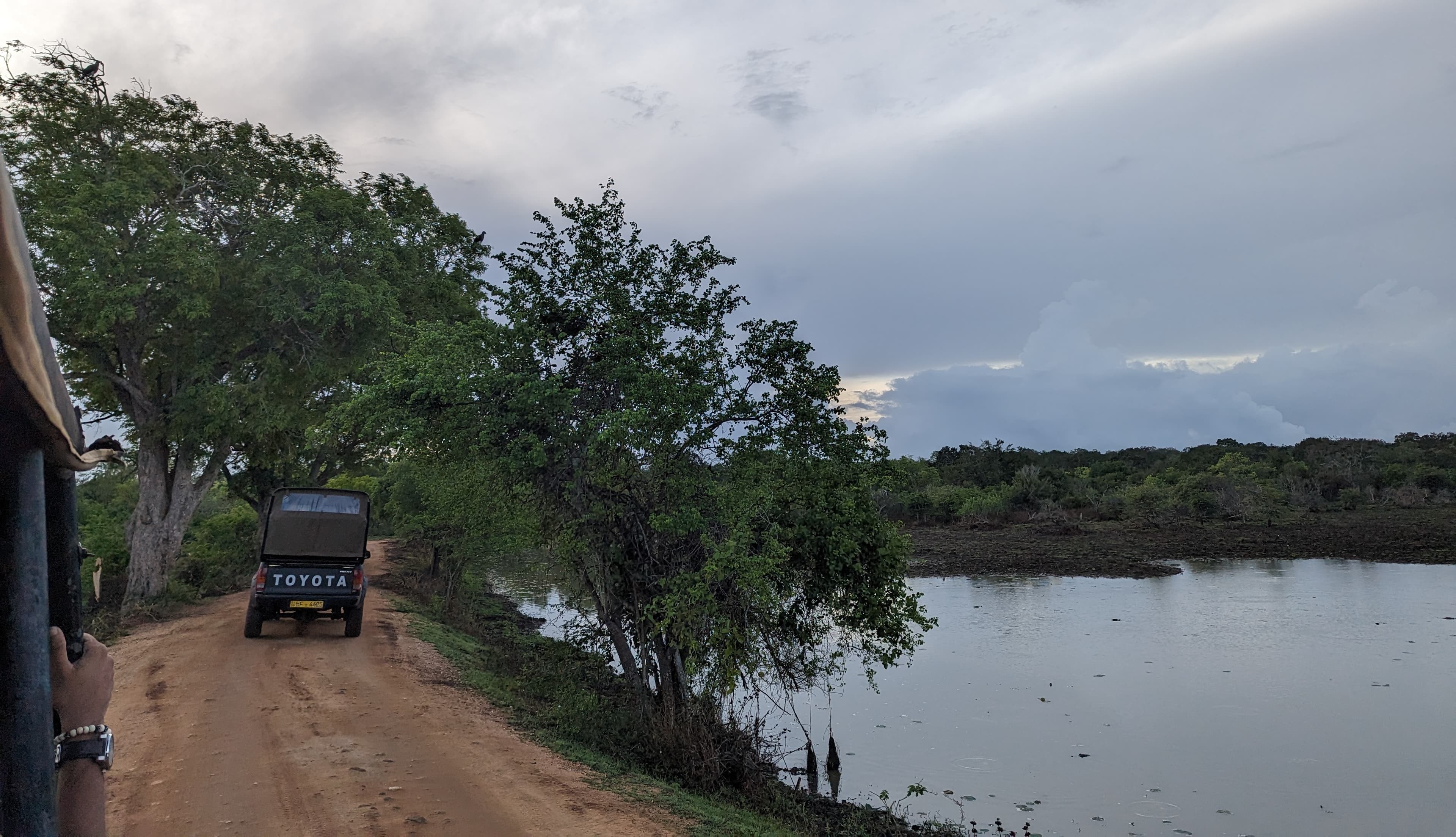Elephant herd during Udawalawe safari jeep tour