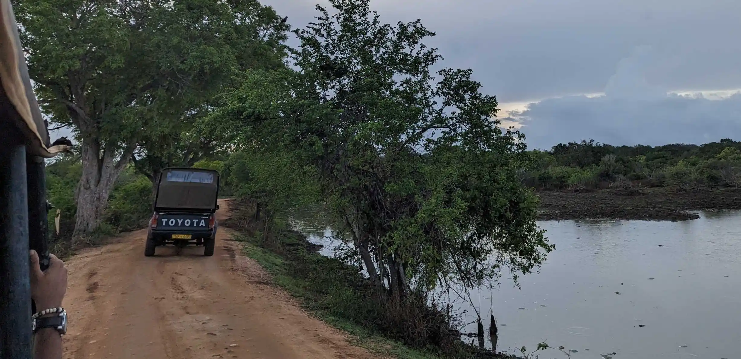 Udawalawe elephant safari jeep tour in Udawalawe National Park Sri Lanka